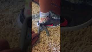 Nike FlyEase shoes for all abilities!