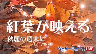 紅葉が映える秋麗の週末に