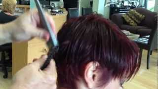 Sasha's Haircolor makeover by Stephanie d