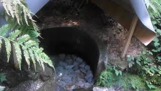 Lesní studánka