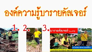 620909 72 องค์ความรู้บารายคัลเจอร์ Barayculture ภูเขาน้อย ประหยัดน้ำ พืชงามดี