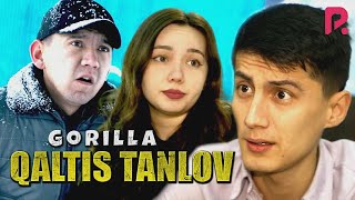 Gorilla - Qaltis tanlov (hajviy ko'rsatuv)