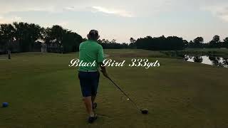 Lauden Golf BlackBird SunBurst 505 Flight Stabilizer Over 300yd Drives 44 Gram