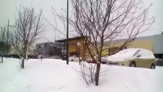 Общага. Лес. Прогулка. Покупка матраса.