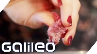 Die ultimativen Chili-Tipps | Galileo Lunch Break
