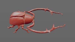 Shortutorials -  Insect bug - Blender, Zbrush, Substance Painter - part 1