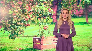 Дожди всю неделю! Будет ли потепление? Прогноз погоды с 25 апреля по 1 мая 2022. Погода на неделю