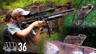 "The Green Machine" | Monkey and Dassie Hunting | The Oxwagon Diaries, Part 36