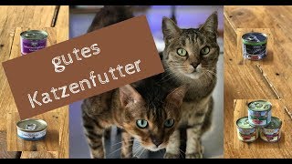 Was ist gutes Katzenfutter - welches Nassfutter fressen Coco und Nanju gerne?