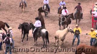 Cruel Cheyenne Wild Horse Race, 2012