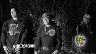 Stoopid Fruit Cypher