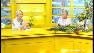 Гармонія з природою. Цілющі властивості рослин