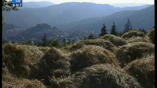 Родопчани - с. Момчиловци - 3/3