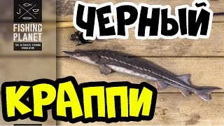 Fishing Planet прохождение | Трофейный Черный Краппи | Нью-Йорк, озеро Эмеральд