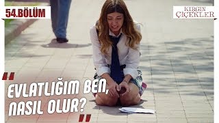 En büyük şokunu yaşayan Defne! - Kırgın Çiçekler 54.Bölüm