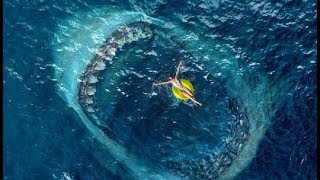 Audience Reactions Are Hitting Twitter || The Meg [2018] Movie