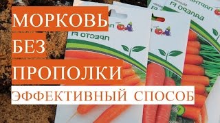 Морковь Без Прополки. Посадка Моркови Весной. (13.05.17)