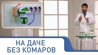 Защита от комаров на всю ночь, средство Москитол для всей семьи