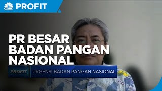 Bustanul Arifin Sebut Ini PR Besar Kepala Badan Pangan Nasional