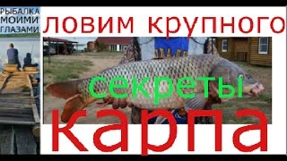 КРУПНЫЙ КАРП НА ФИДЕР, КАК НЕ УПУСТИТЬ ТРОФЕЙ