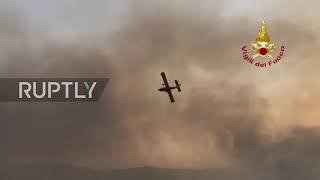 Italy: Firefighters battle multiple blazes outside Palermo