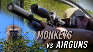 SMOKING Monkeys & Baboons in the Wilderness! | Baviaanskloof Hunting Series, pt.5