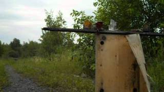 Hatsan 150ТН стрельба по бутылкам 60метров (3).VOB