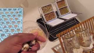 Coturnix Qauil "EGG WATCH" Results & Sprouting Seeds Not Just For Quail