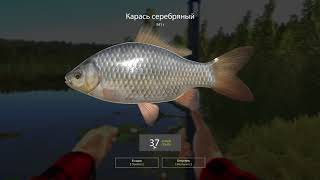 РР4 фарм на оз.Комариное (сыр,бойлы,хлеб)