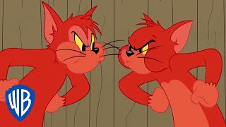 Tom und Jerry auf Deutsch | Tom vs. Butch | WB Kids