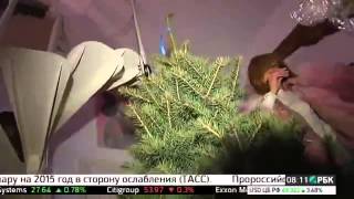 Нью Елки на РБК