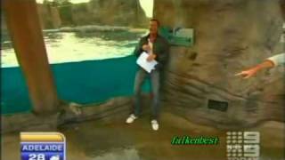 Weatherman attacked by a pelican