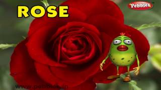 Rose Rhyme | 3D Nursery Rhymes With Lyrics For Kids | Flower Rhymes | 3D Rhymes Animation