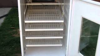 incubator automat performant