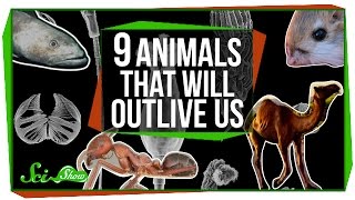 9 Animals That Will Outlive Us