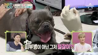 VAP채널A 개밥 주는 남자 시즌2 E13 170722 720p NEXT