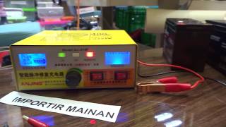 charger aki kering 12V 24V ANJING 618F untuk rentalan mobil aki anak