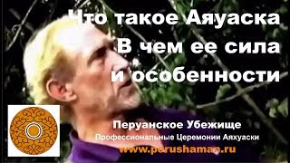 Что такое Аяваска и как она работает. Действие Аяваски. Отзыв Маэстро Скота Петерсона.