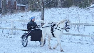 Espoon Talli Willow valjakko 06 01 2017