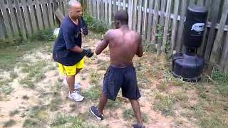 Back yard Spar