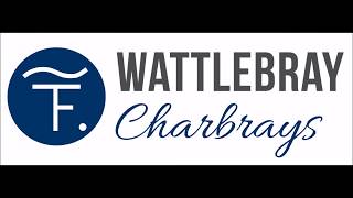 Charbray Bulls For Sale