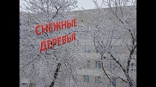 ПРОСТО СКАЗКА  / Зимние деревья  /   Зима в городе / Сказочные деревья