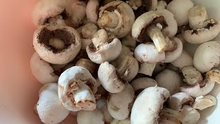 ? ГОТОВЛЮ БЫСТРО ? ГРИБЫ с Луком ВКУСНО БОЛТАЛКА Мукбанг 17.01.2020