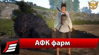 Black Desert – Как фармить афк? | Гайды Black Desert