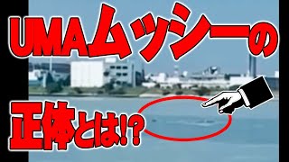 【お便り】ねぷた祭りとレプティリアン、　ヤマトタケルの命と弟橘媛（弟橘比売命）の千葉県にまつわる不思議な話　ATL4th262