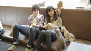 猫カフェ新宿- Cat Cafe in Shinjuku