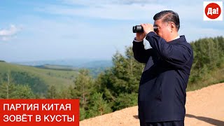 ПАРТИЯ КИТАЯ ЗОВЁТ В КУСТЫ