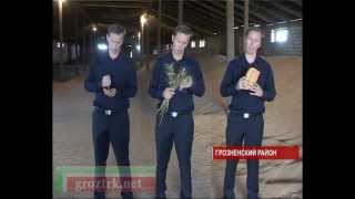 Время пожинать. В Чечне заготавливают пшеницу Чечня.