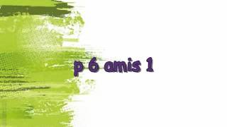 p 6 amis 1