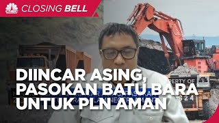 Batu Bara Diincar Asing, Pasokan Dalam Negeri Untuk PLN Cs Aman?
